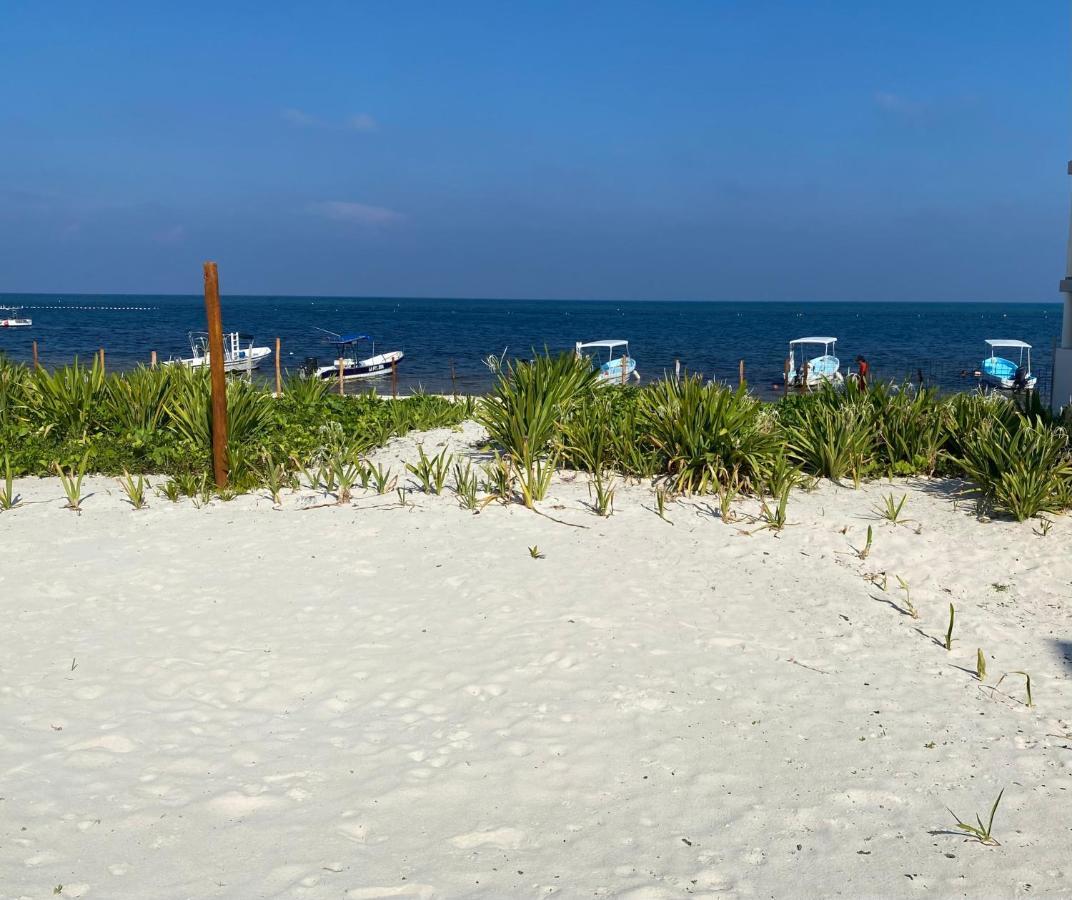 Casa Lucia Beachfront Пуэрто-Морелос Экстерьер фото